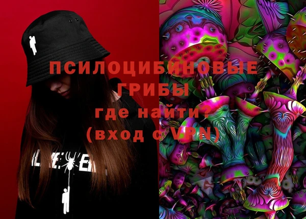 крисы Киров