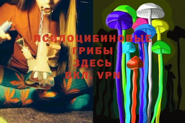 крисы Киров