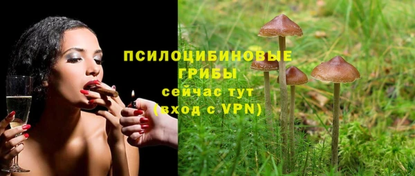 крисы Киров