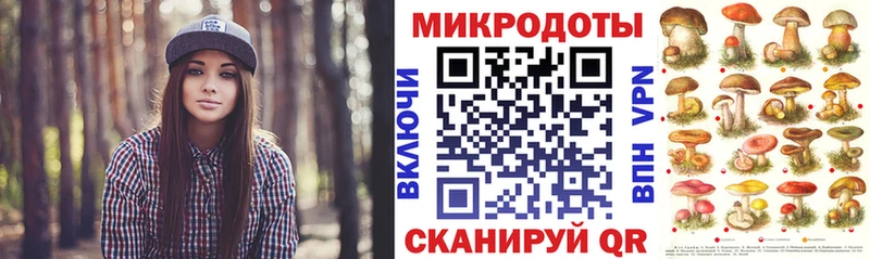 Псилоцибиновые грибы Psilocybine cubensis  Беломорск 